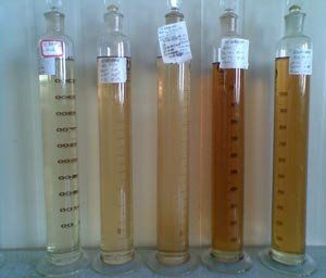 新疆理化所 高端酯類(lèi)系列潤(rùn)滑油研制 項(xiàng)目通過(guò)驗(yàn)收