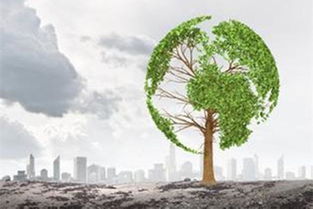 發(fā)布實(shí)施方案 今年新疆將啟動(dòng)生態(tài)環(huán)境損害賠償制度改革試行工作