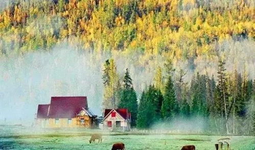 新疆15處美景上榜，生態(tài)保護(hù)與旅游發(fā)展相得益彰