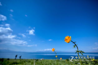 美麗生態(tài)，環(huán)保同行——大美新疆的綠色畫(huà)卷